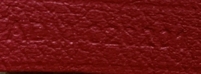 Saint Louis Tote Coated Canvas PM - Deep Luxury