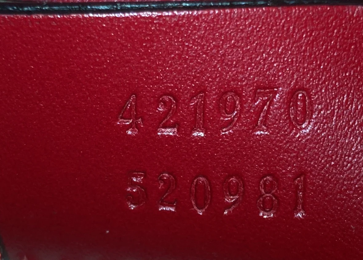 Dionysus Bag Limited Edition Painted Leather Mini - Deep Luxury