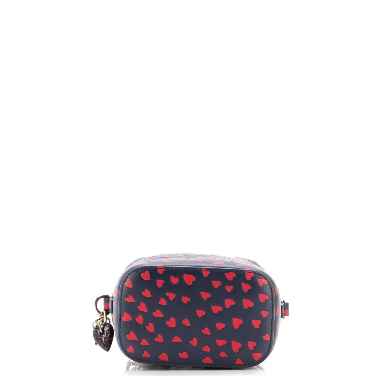 Lady Dior Vanity Case Printed Leather Micro - Deep Luxury