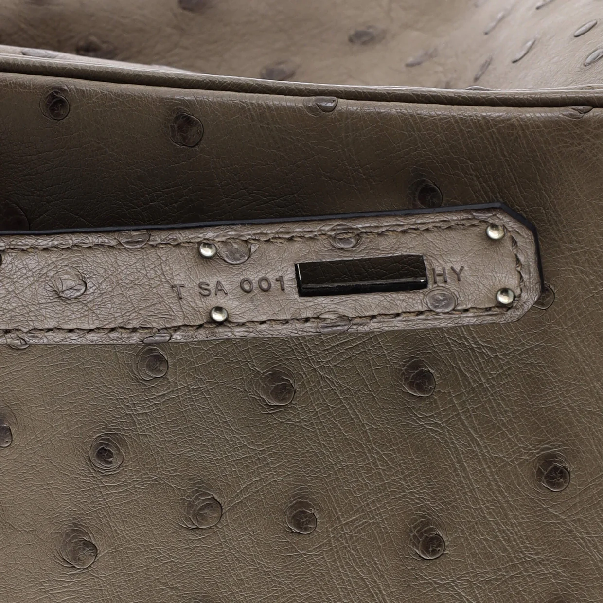 Birkin Handbag Mousse Ostrich with Palladium Hardware 30 - Deep Luxury