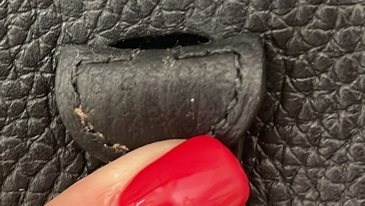 Evelyne Bag Gen III Clemence TPM - Deep Luxury