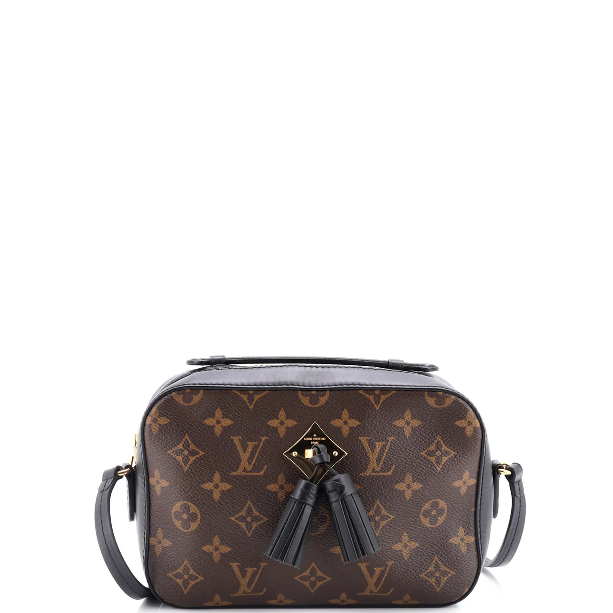 Saintonge Handbag Monogram Canvas with Leather - Deep Luxury