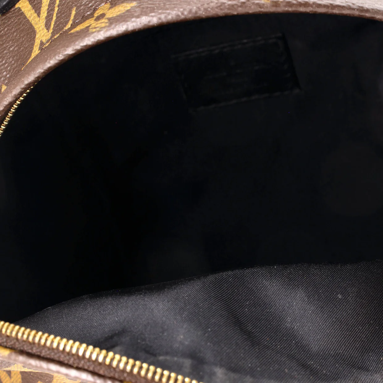 Palm Springs Backpack Monogram Canvas Mini - Deep Luxury