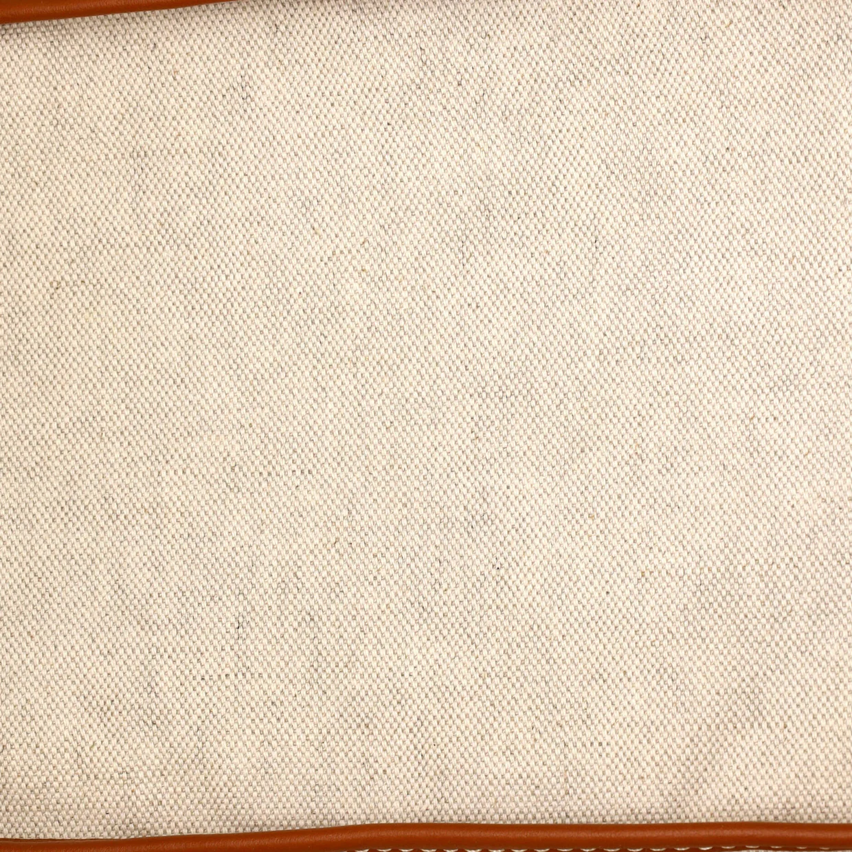 Saint Louis Tote Coated Canvas PM - Deep Luxury