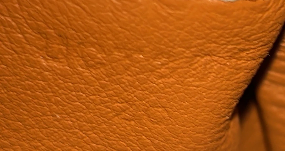 Lindy Bag Clemence Mini - Deep Luxury