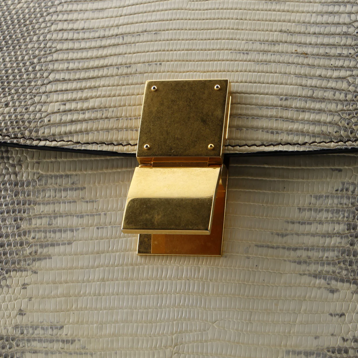 Classic Box Bag Lizard Medium - Deep Luxury