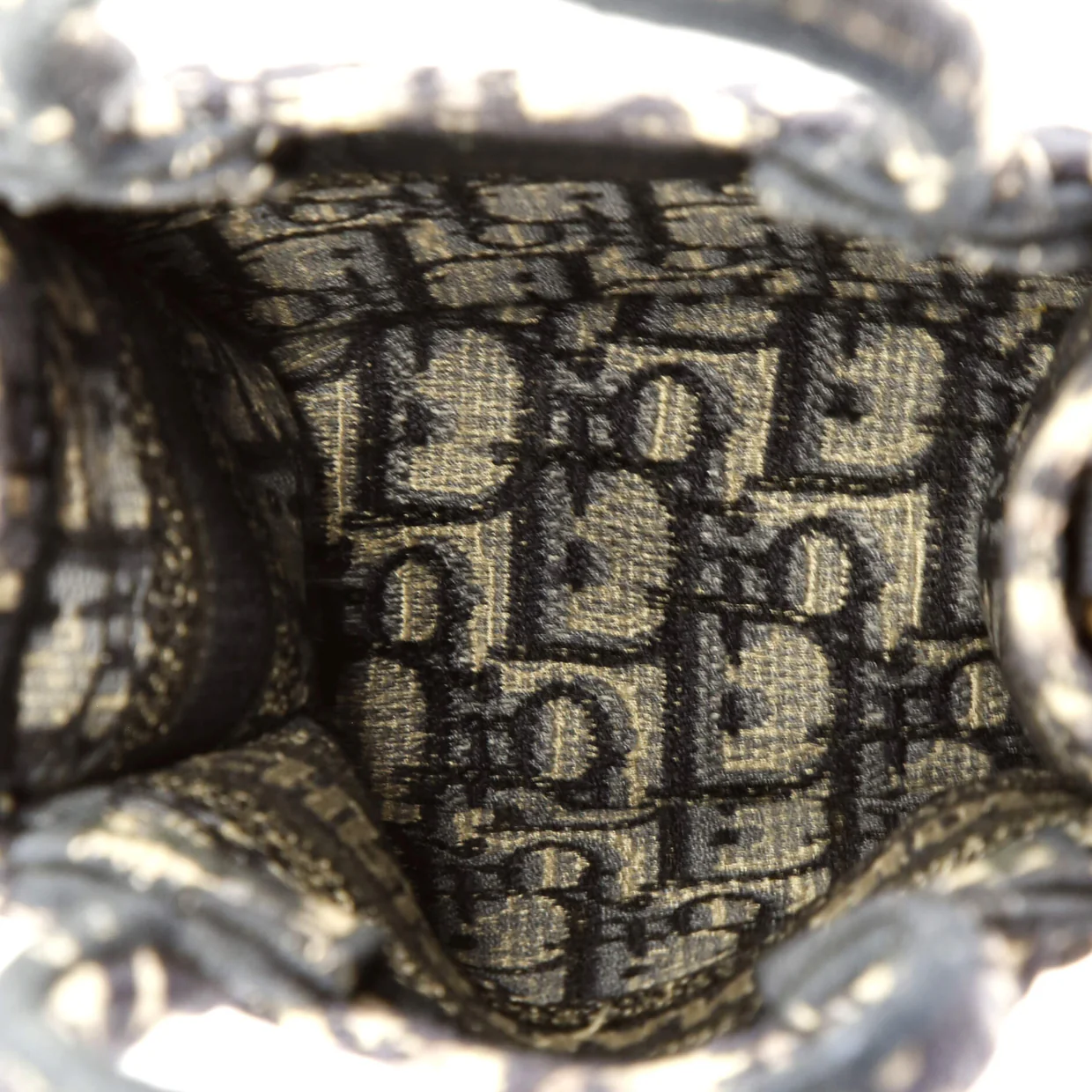 Book Tote Phone Bag Oblique Canvas Mini - Deep Luxury