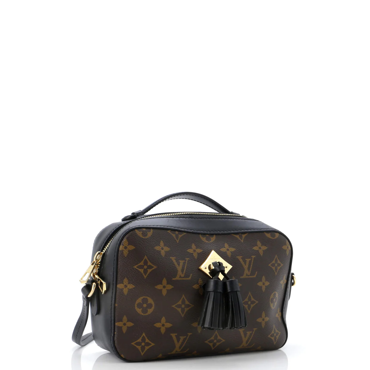 Saintonge Handbag Monogram Canvas with Leather - Deep Luxury
