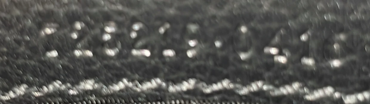 Blondie NM Wallet on Chain Leather Medium - Deep Luxury