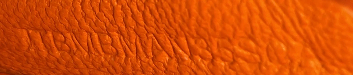 TB Shoulder Bag Leather - Deep Luxury