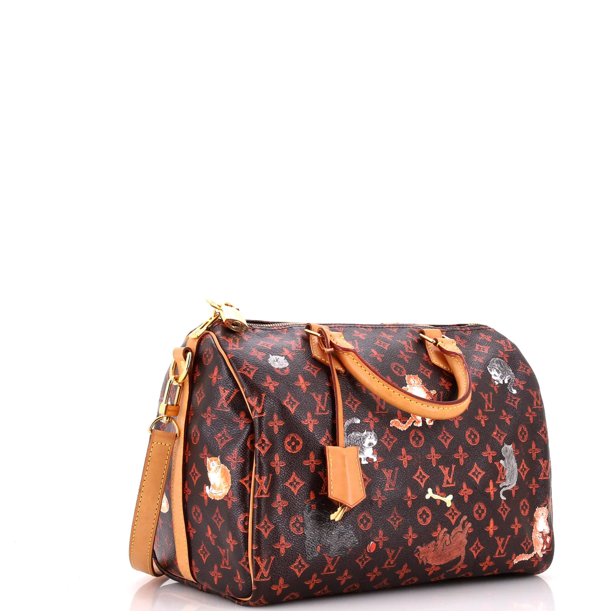 Speedy Bandouliere Bag Limited Edition Grace Coddington Catogram Canvas 30 - Deep Luxury