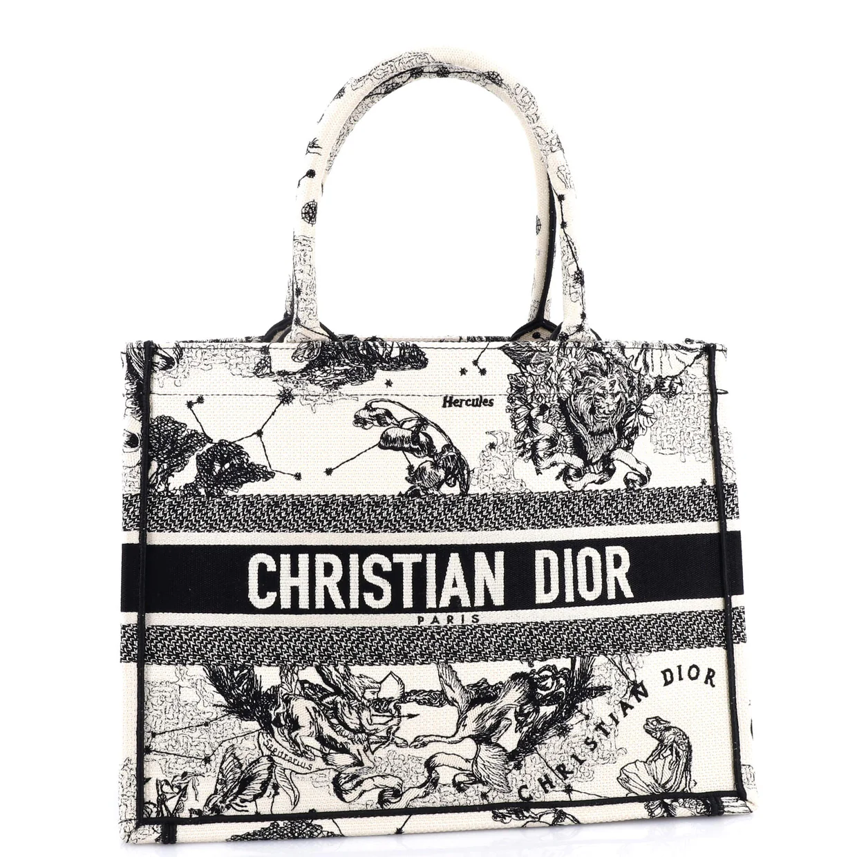 Book Tote Embroidered Canvas Medium - Deep Luxury