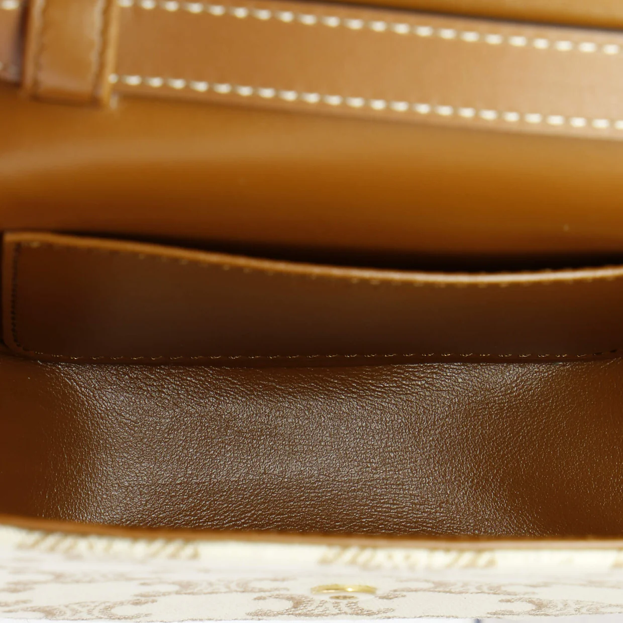 Triomphe Shoulder Bag Triomphe Canvas Mini - Deep Luxury