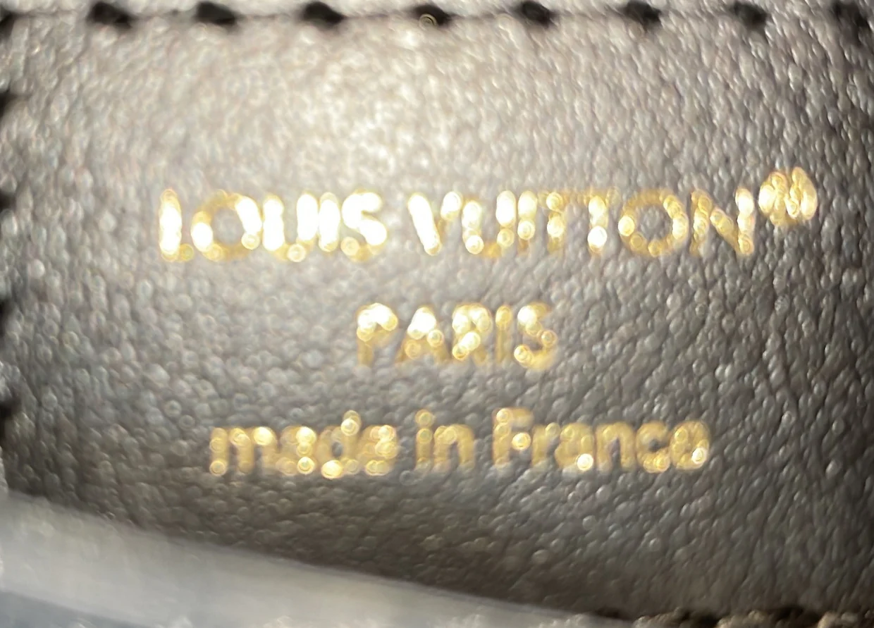 Speedy Trunk Bag Reverse Monogram Canvas 20 - Deep Luxury