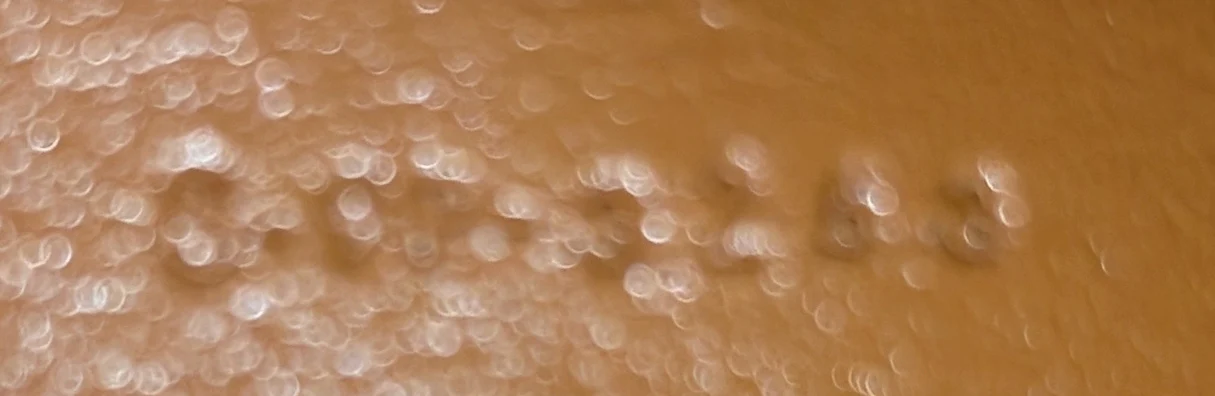 Cuir Triomphe Wristlet Pouch Leather Small - Deep Luxury