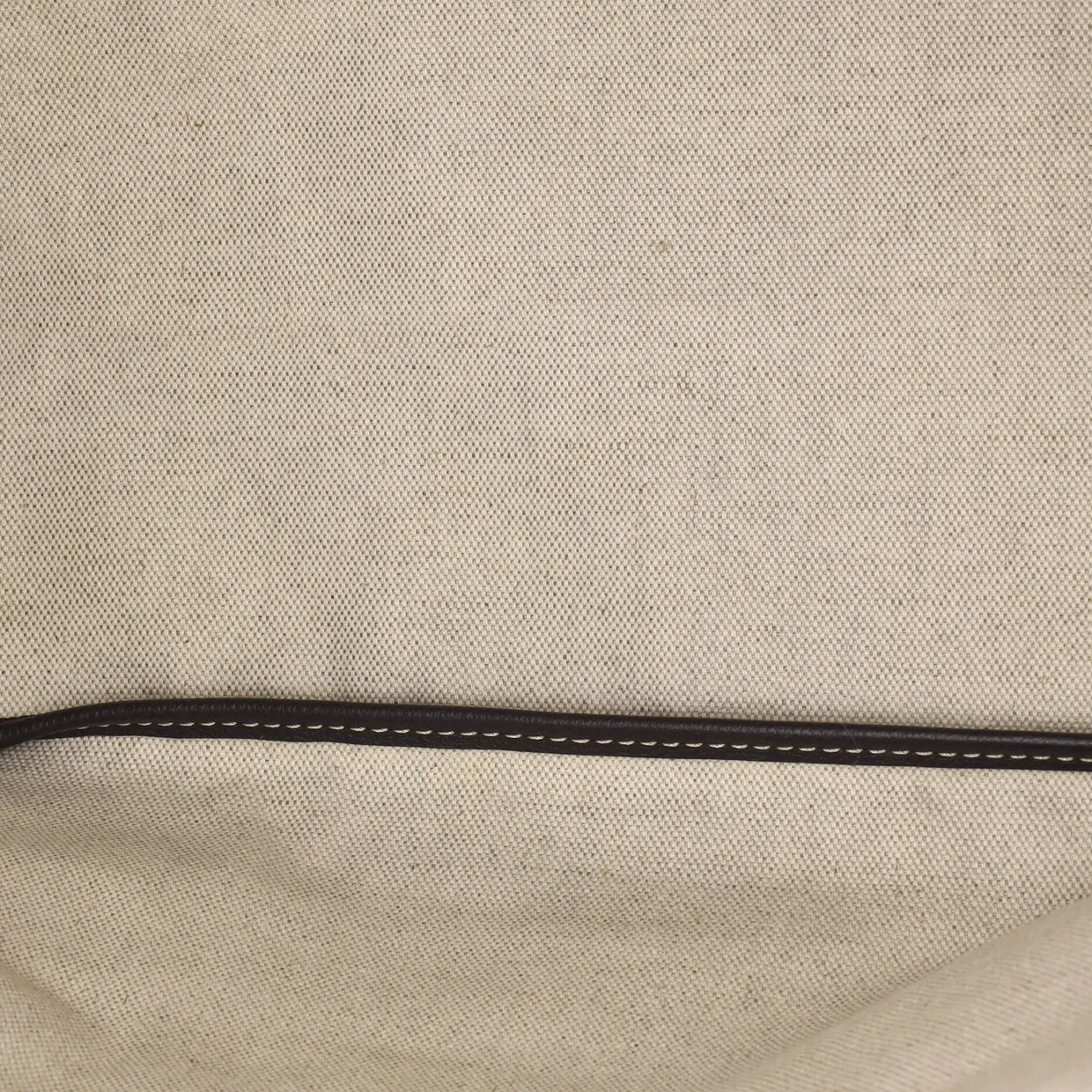 Saint Louis Tote Coated Canvas PM - Deep Luxury