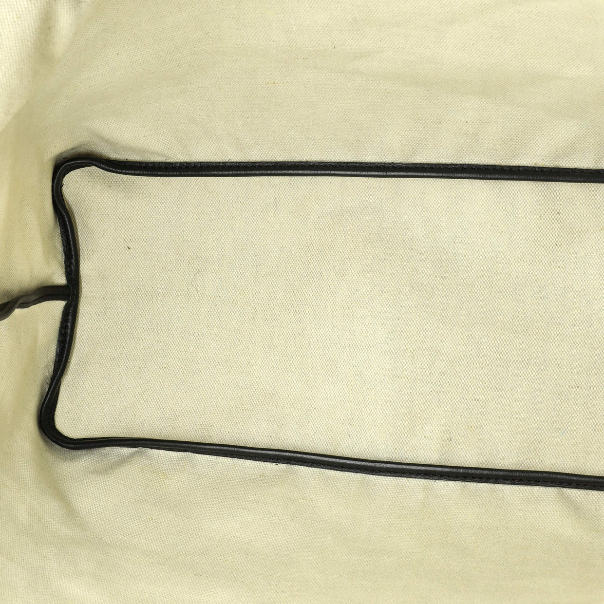 Saint Louis Tote Coated Canvas PM - Deep Luxury