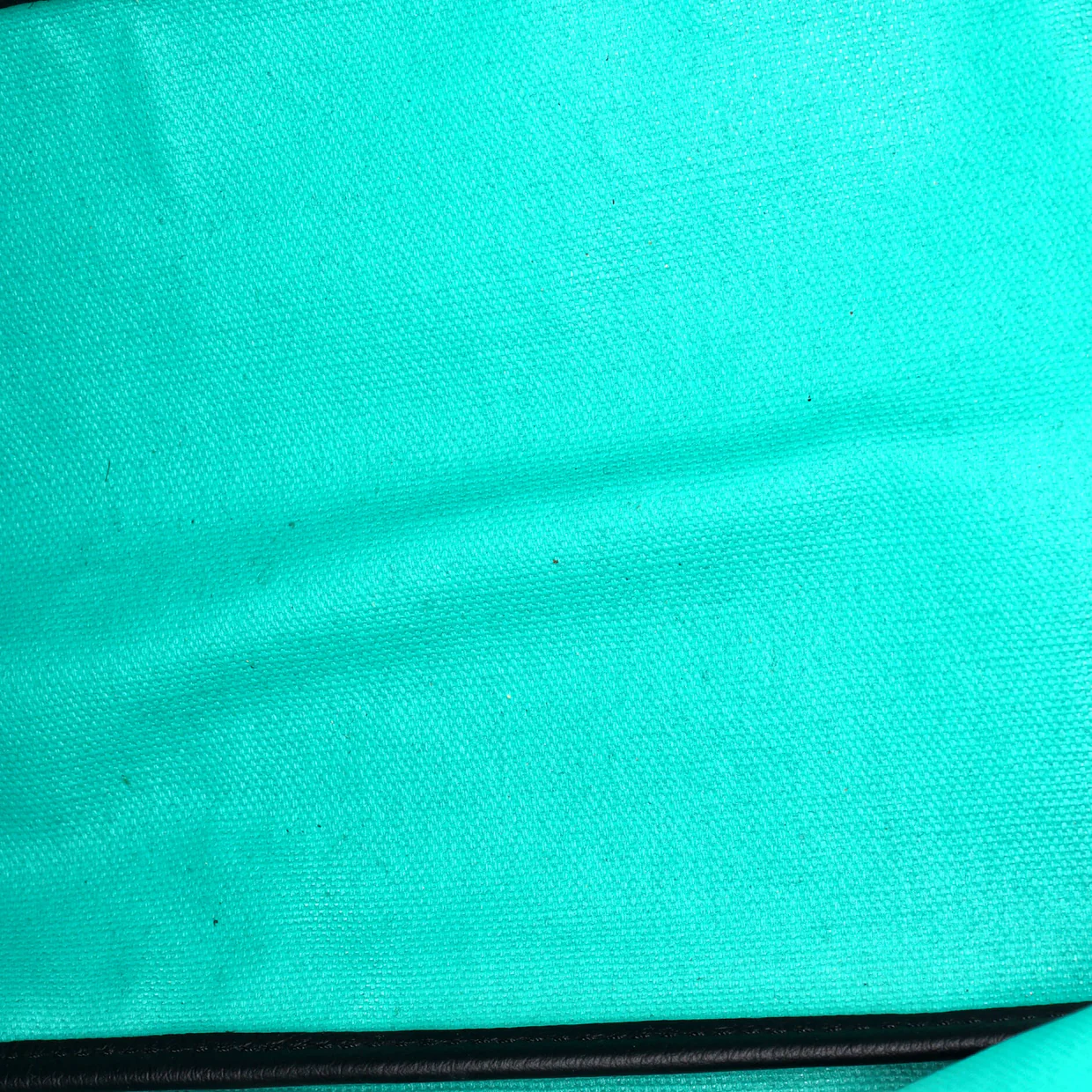 Saint Louis Tote Claire Voie Coated Canvas PM - Deep Luxury