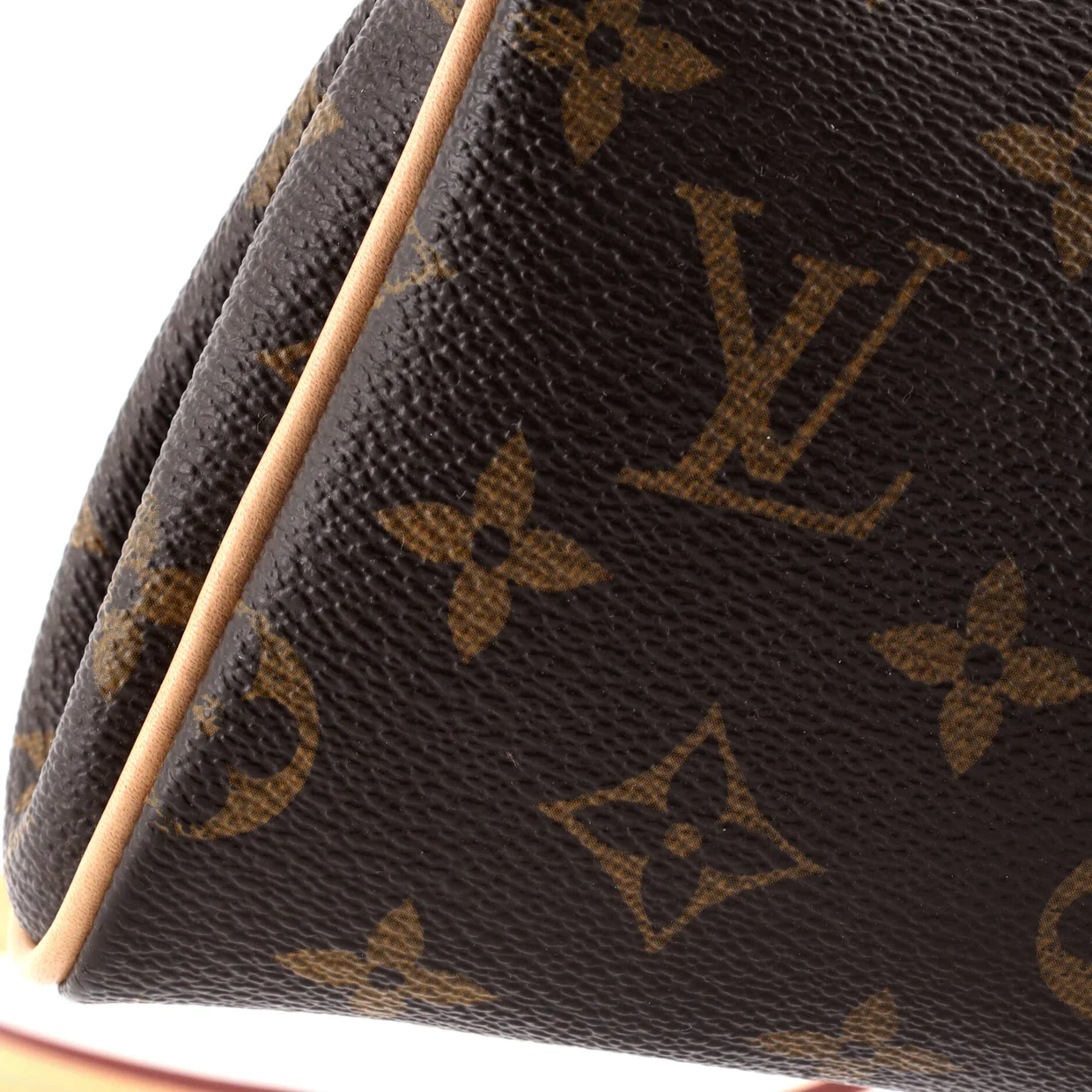 Eva Handbag Monogram Canvas - Deep Luxury