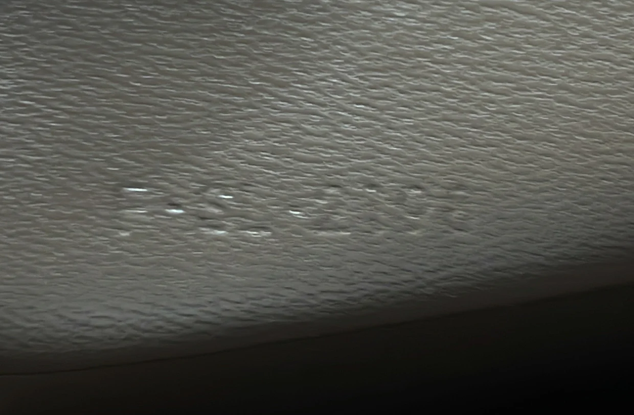 Clasp Crossbody Bag Lizard Mini - Deep Luxury