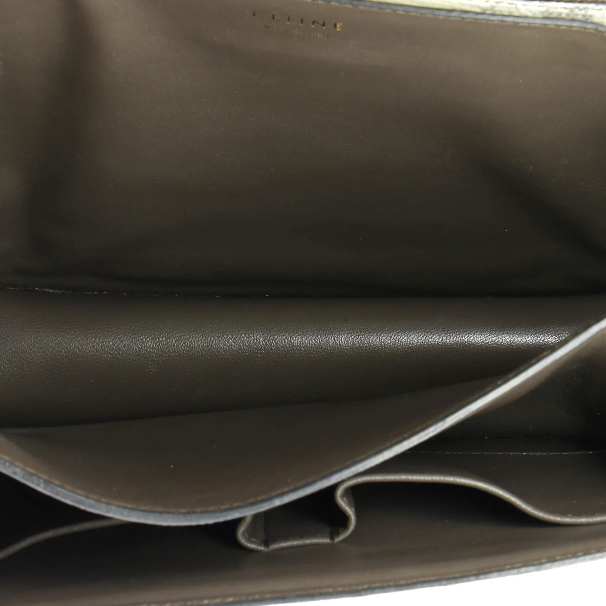 Classic Box Bag Lizard Medium - Deep Luxury