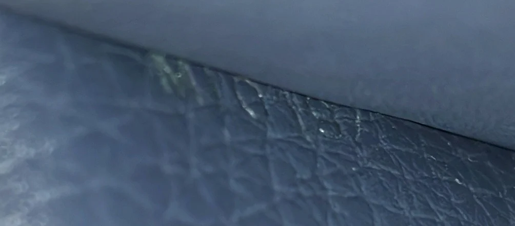 Capucines Wallet Leather - Deep Luxury