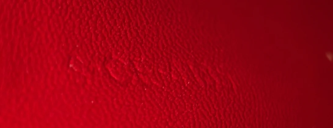 Classic Box Bag Lizard Medium - Deep Luxury