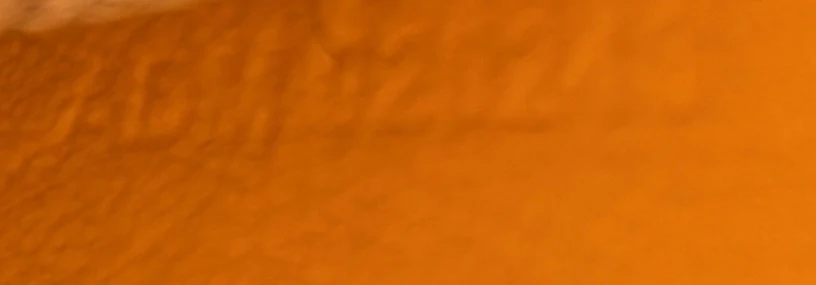 Plumet Clutch Wallet Coated Canvas - Deep Luxury