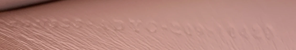 Peekaboo ISeeU Bag Leather East West - Deep Luxury