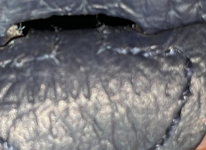 Evelyne Bag Gen III Clemence TPM - Deep Luxury