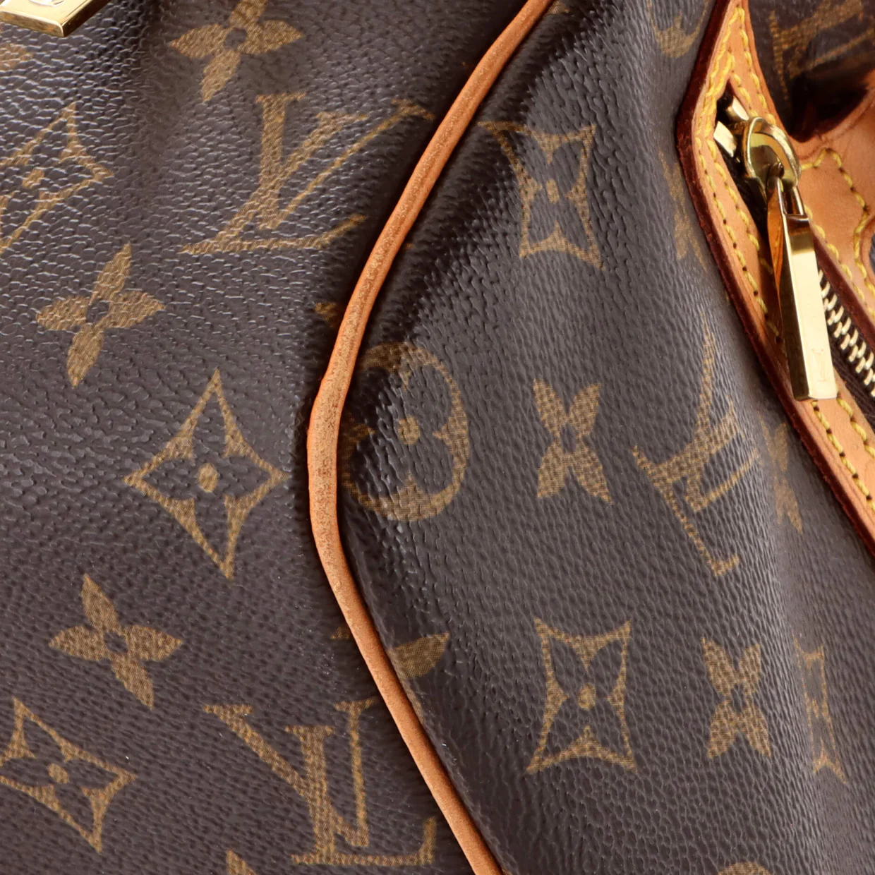 Cite Handbag Monogram Canvas MM - Deep Luxury