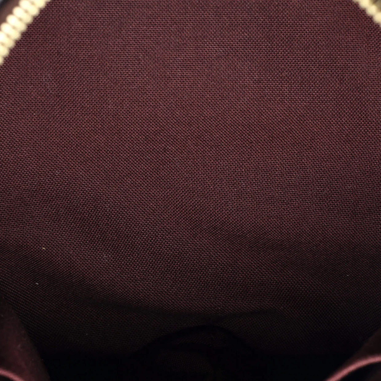 Rivoli Handbag Monogram Canvas PM - Deep Luxury