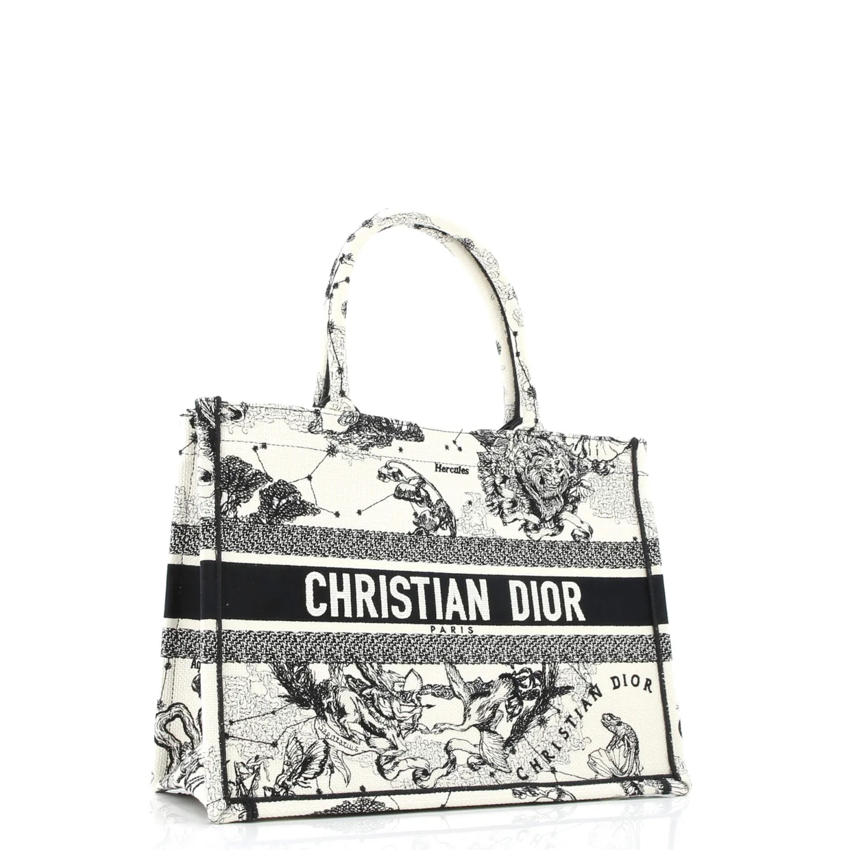 Book Tote Embroidered Canvas Medium - Deep Luxury