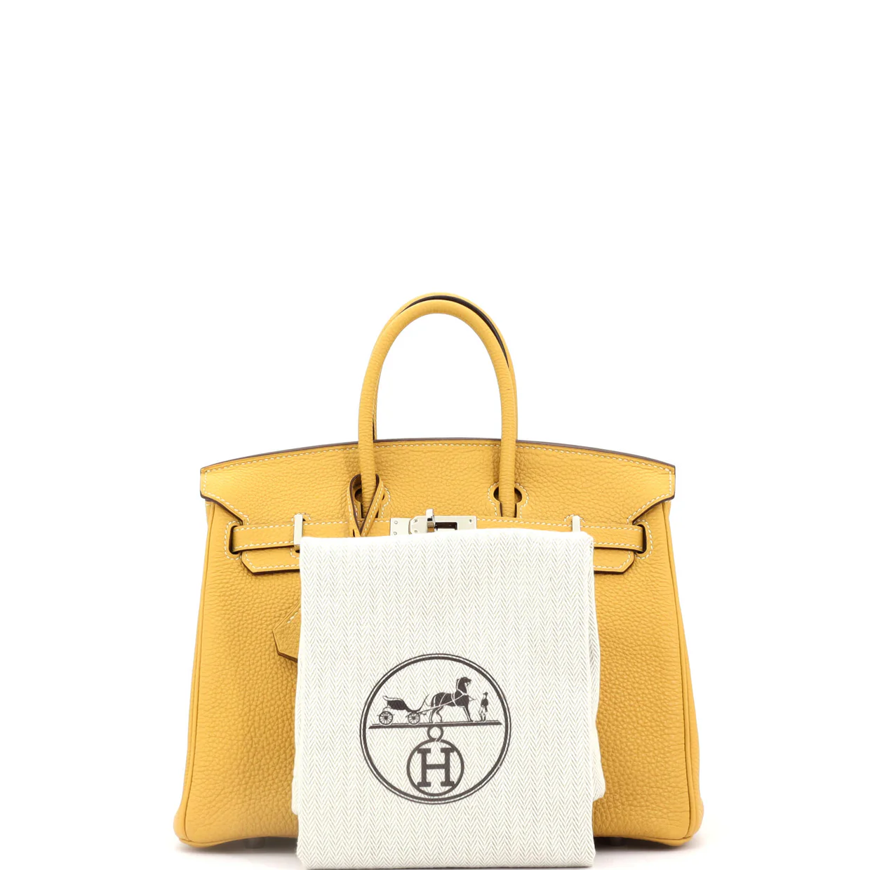 Birkin Handbag Curry Togo with Palladium Hardware 25 - Deep Luxury