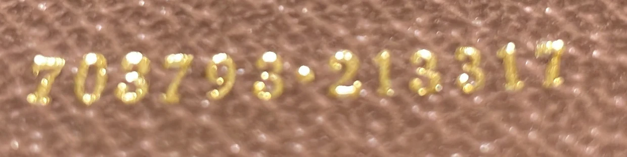 Cut Out Handle Tote Printed GG Coated Canvas - Deep Luxury