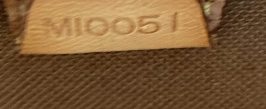 Ellipse Bag Monogram Canvas PM - Deep Luxury