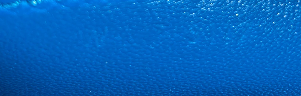 Trotteur Crossbody Bag Grainy Leather Small - Deep Luxury