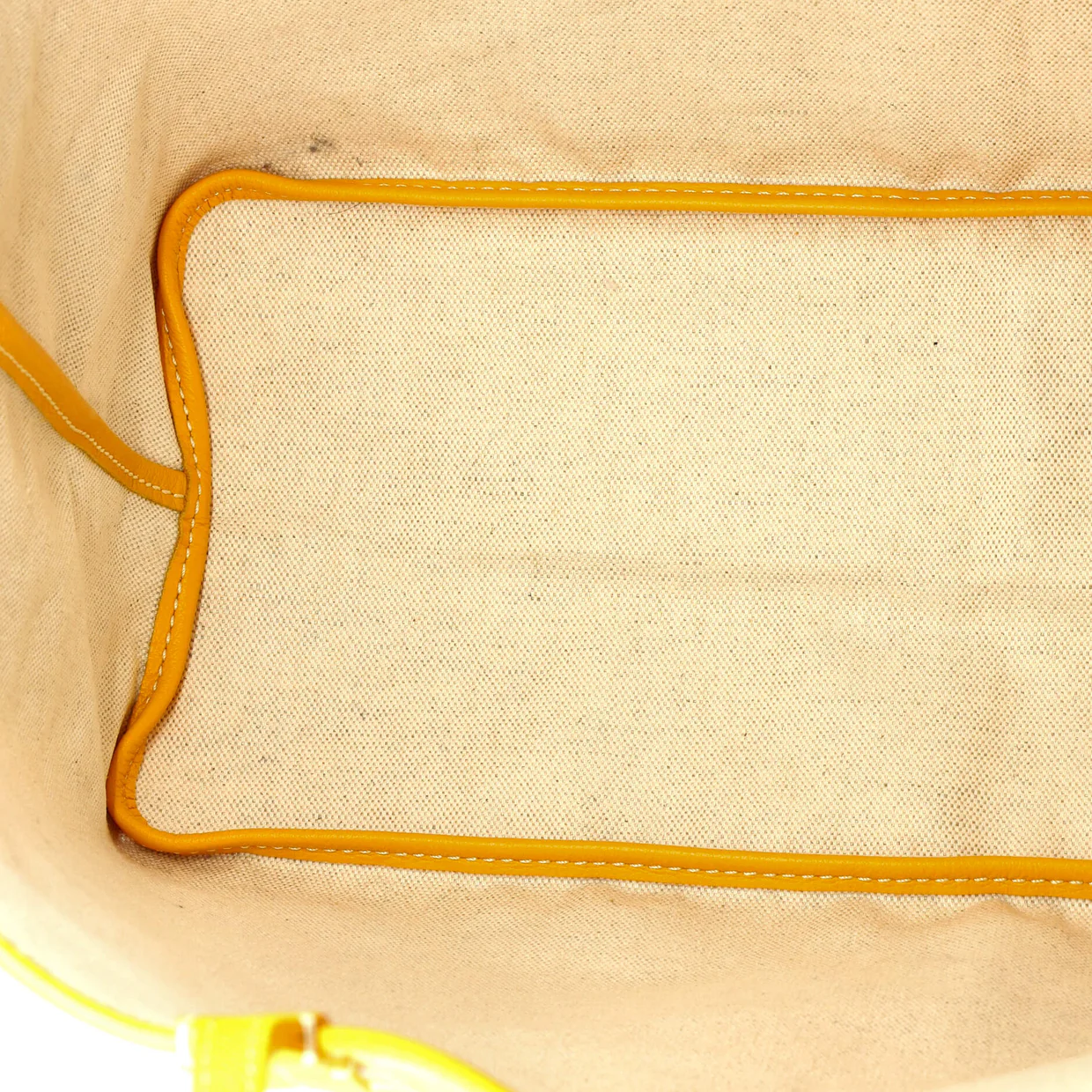 Saint Louis Tote Coated Canvas PM - Deep Luxury