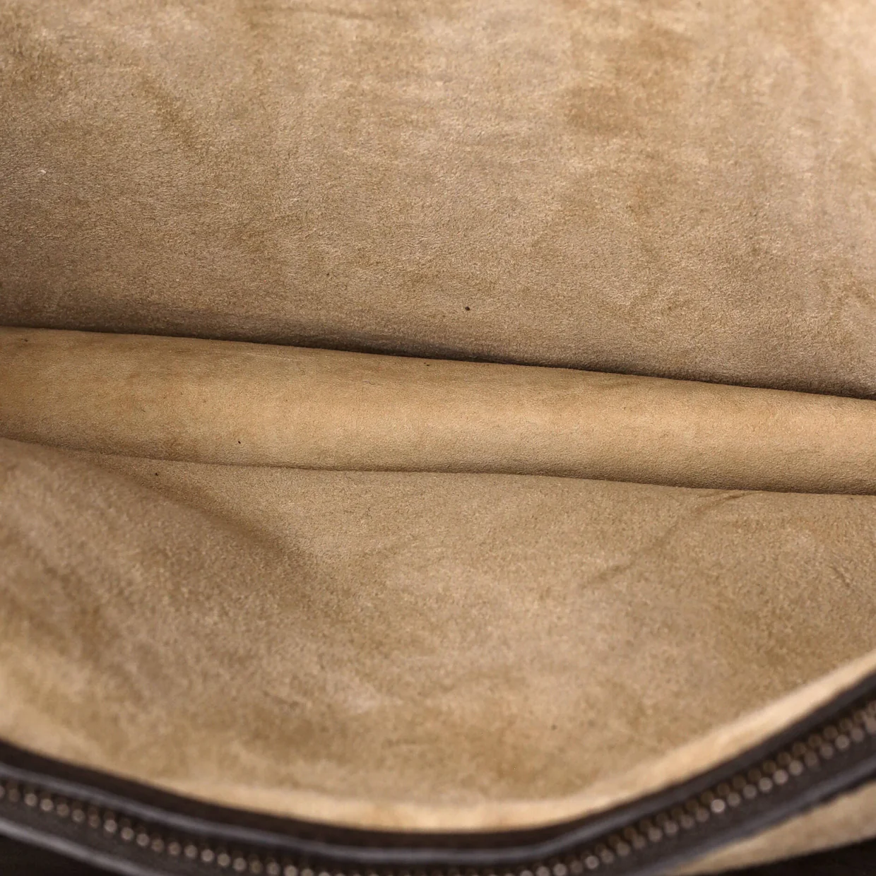 Web Dionysus Bag Python Medium - Deep Luxury