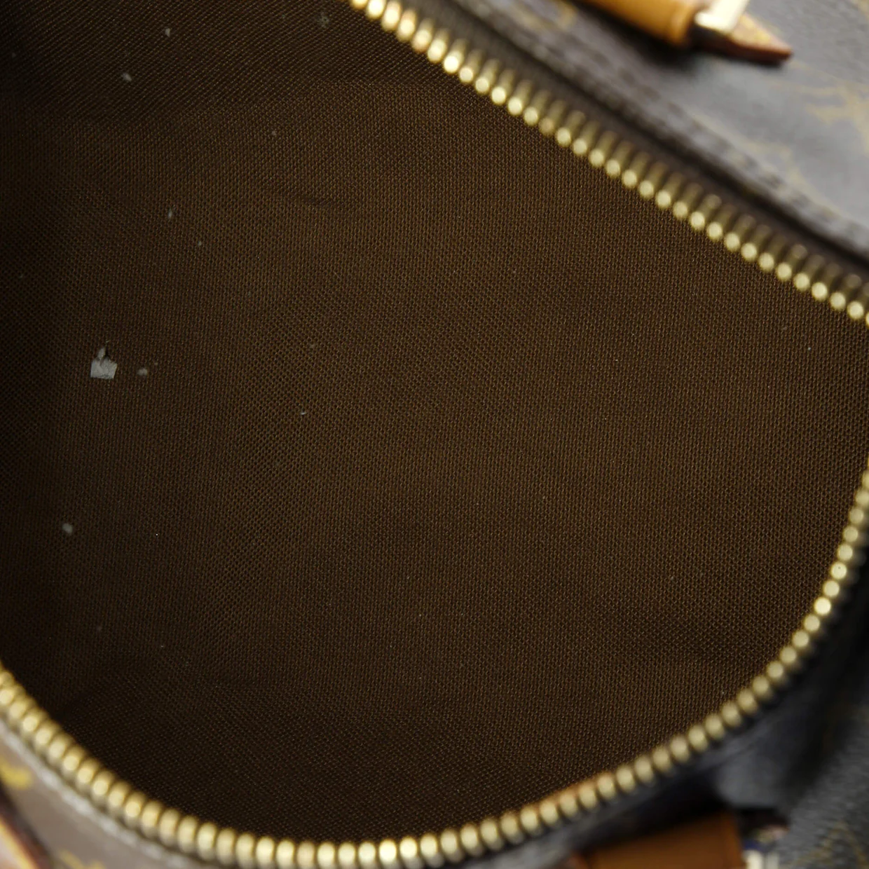 Speedy Handbag Monogram Canvas 25 - Deep Luxury