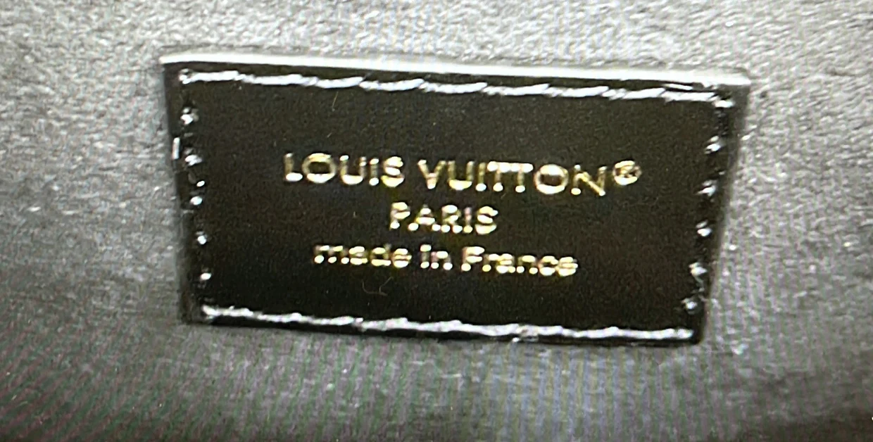 Speedy Trunk Bag Reverse Monogram Canvas 20 - Deep Luxury