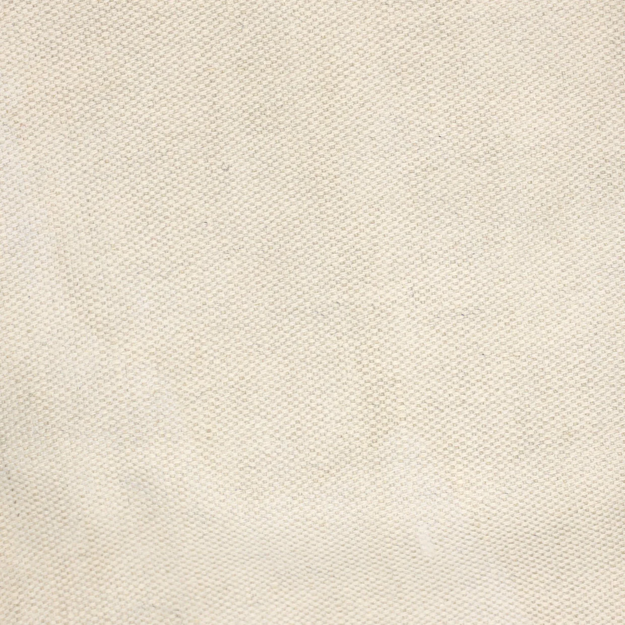 Saint Louis Tote Coated Canvas PM - Deep Luxury