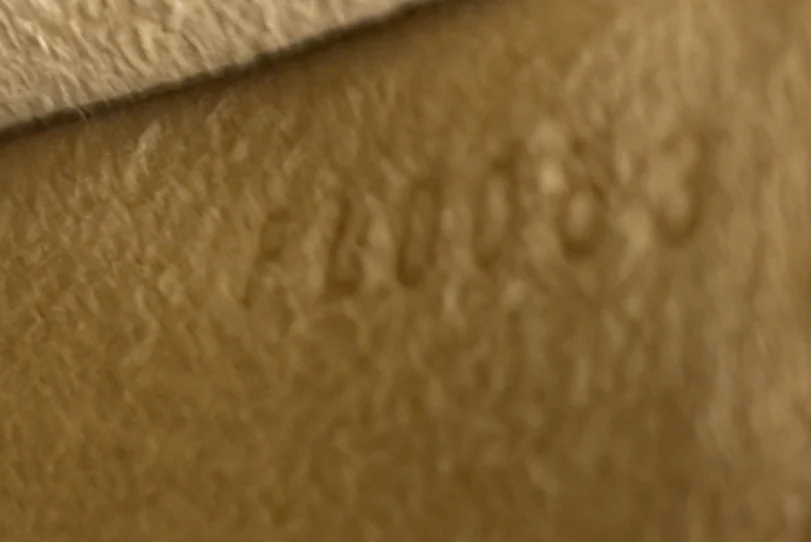 Florentine Waist Bag Monogram Canvas - Deep Luxury