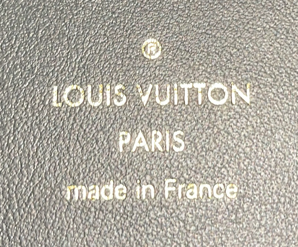 Capucines Souple Bag Leather GM - Deep Luxury