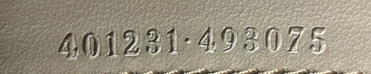 Dionysus Chain Wallet GG Coated Canvas Small - Deep Luxury