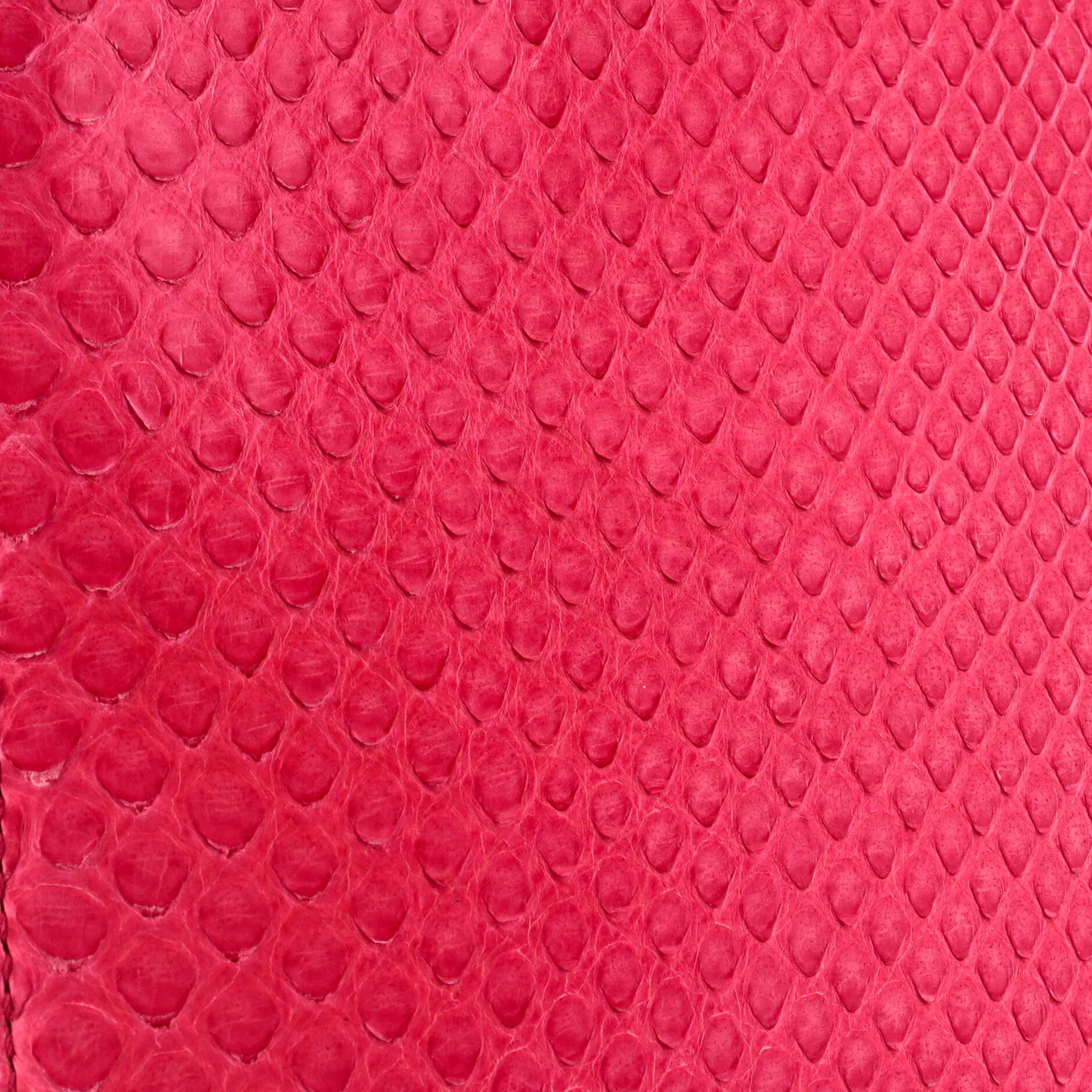 Lady Dior Bag Python Medium - Deep Luxury