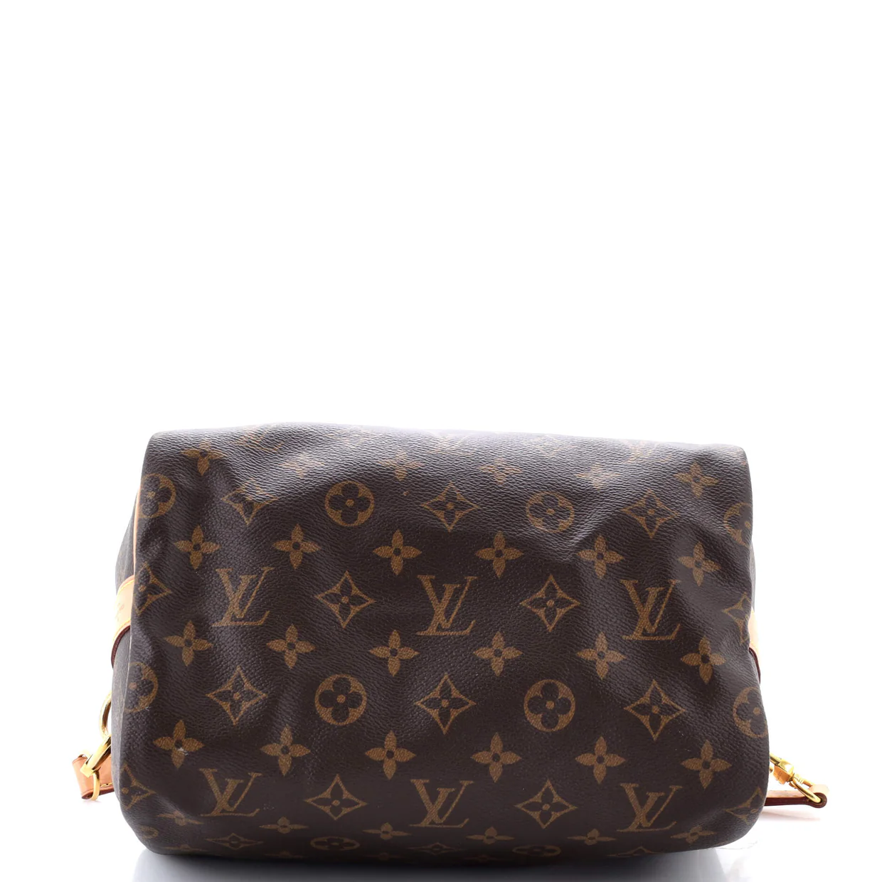 Speedy Bandouliere Bag Monogram Canvas 25 - Deep Luxury