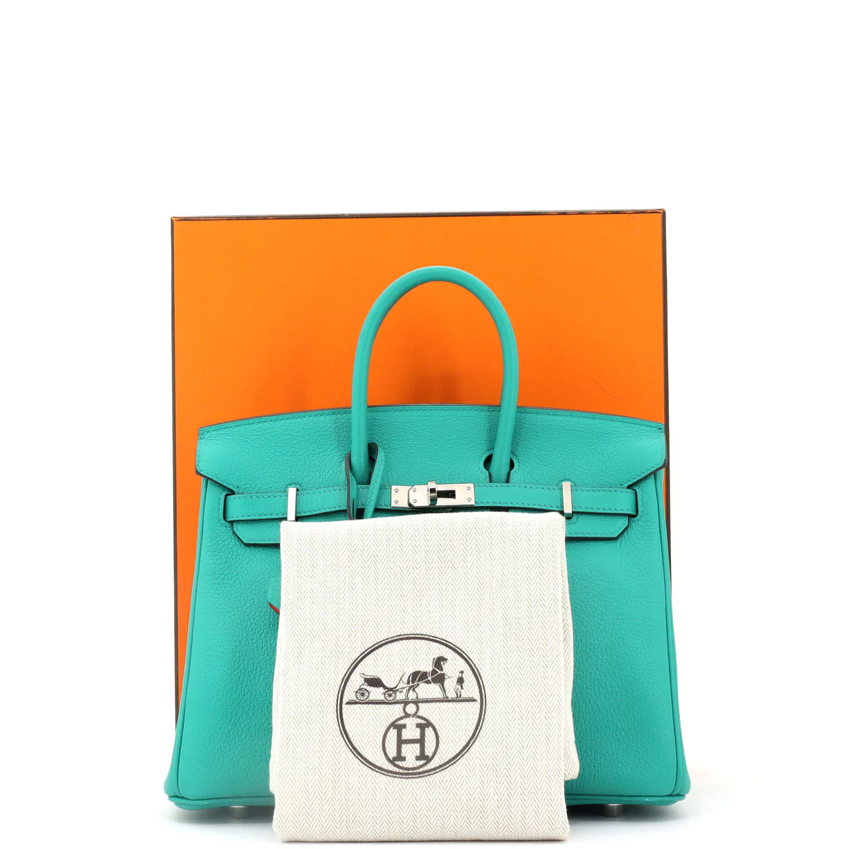 Birkin Handbag Verso Novillo with Palladium Hardware 25 - Deep Luxury
