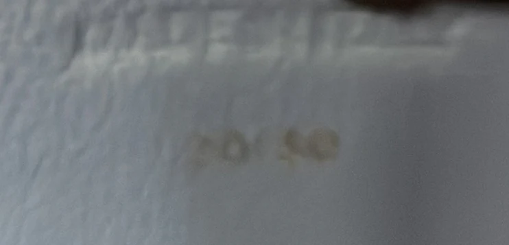 Classic Box Bag Lizard Small - Deep Luxury