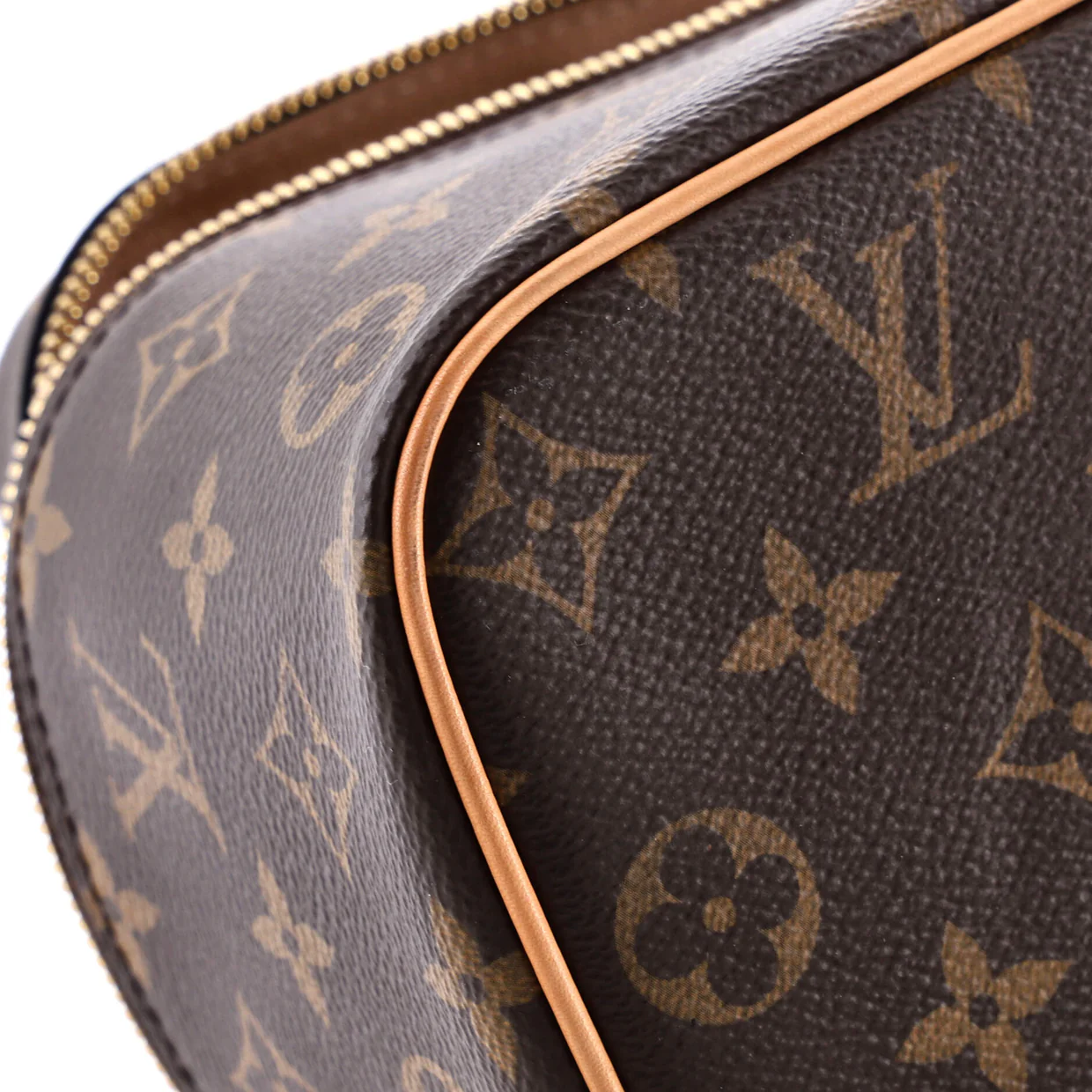 Nice Vanity Case Monogram Canvas Mini - Deep Luxury